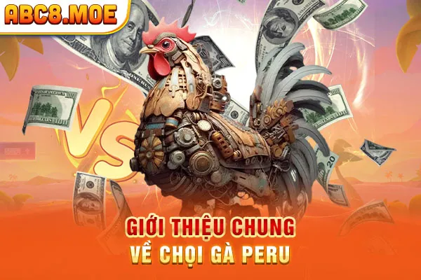 Giới thiệu chung về chọi gà Peru