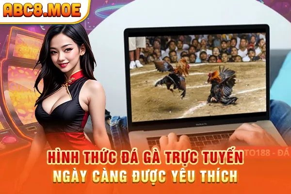 Hình thức đá gà trực tuyến phổ biến trong những năm gần đây