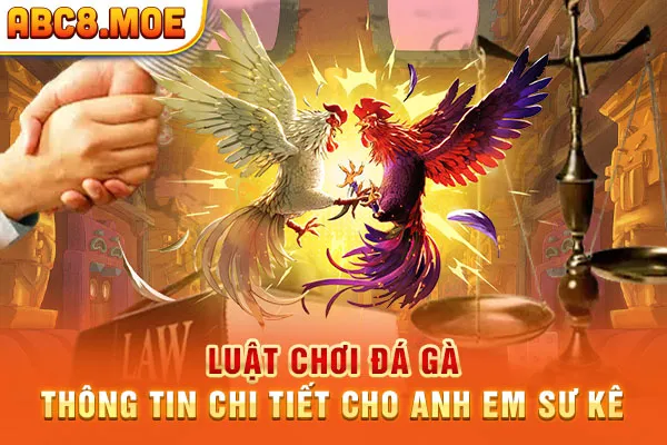 Luật Chơi Đá Gà  - Thông Tin Chi Tiết Cho Anh Em Sư Kê