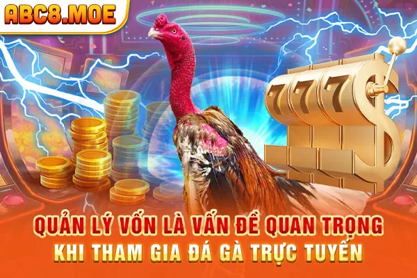 Quản lý vốn là vấn đề quan trọng khi tham gia đá gà trực tuyến